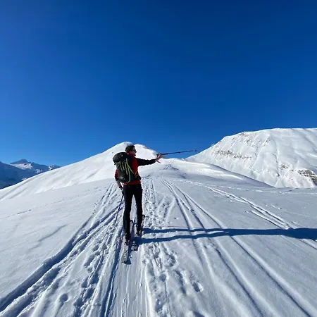 Haus Koidl Apartment