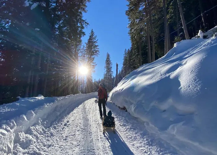 Lejlighed Haus Koidl Tux